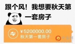 最新热梗爆料,揭秘最新网络爆红话题背后的故事